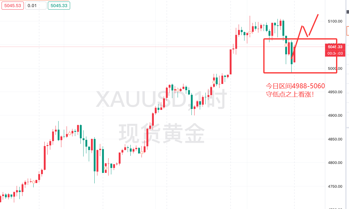 1769470227982619.png 9299b7ae-993c-4e7c-b812-6a97566f24f9.png