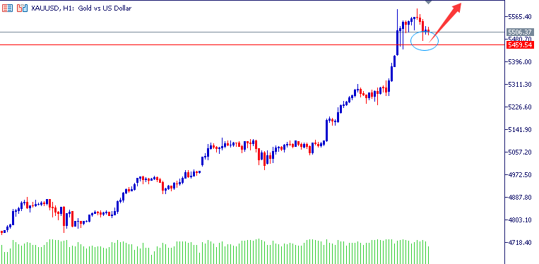 1769684034252597.png 01.png