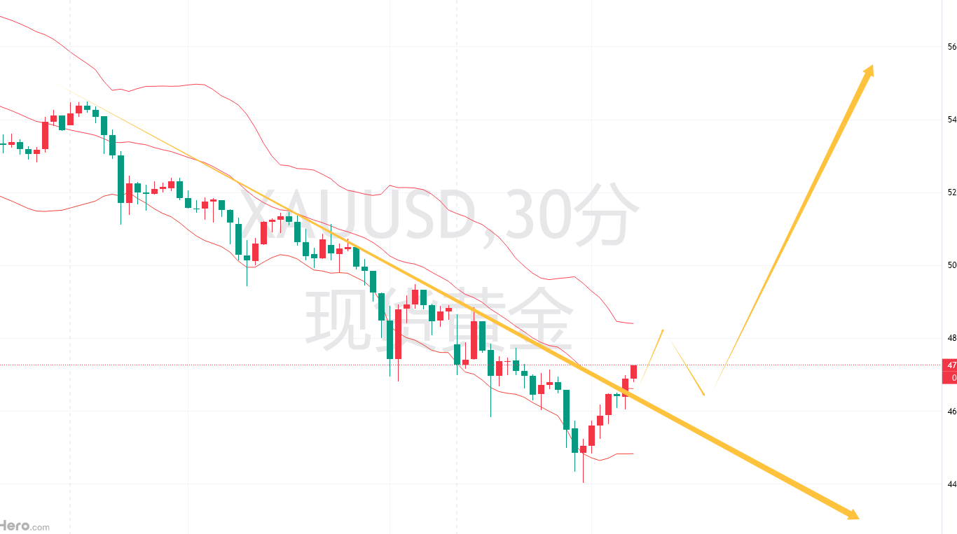 1770026312697302.png d48a0e46-c8f6-4f35-8b3c-f2acb5b80a4f.png