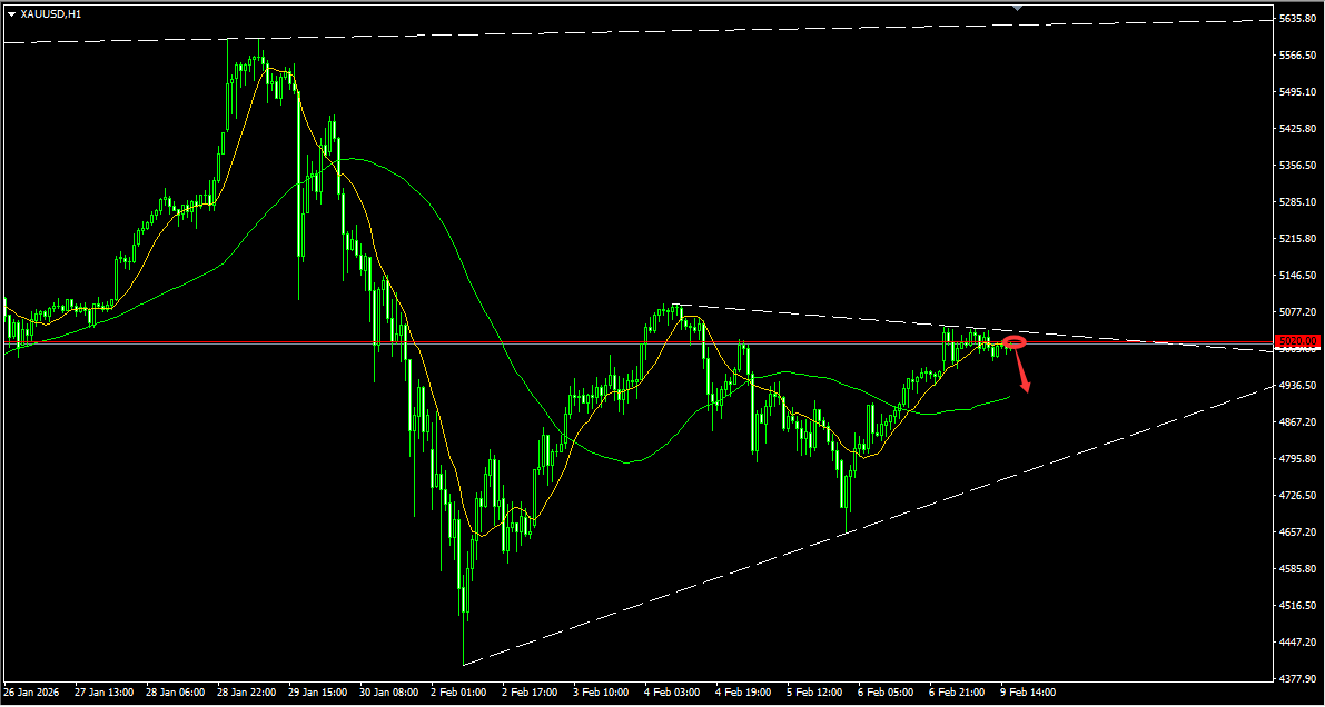 1770646549281868.png QQ20260123-162836.png