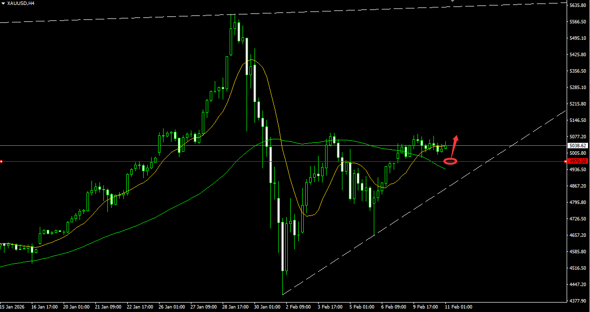 1770774666546832.png QQ20251215-101339.png