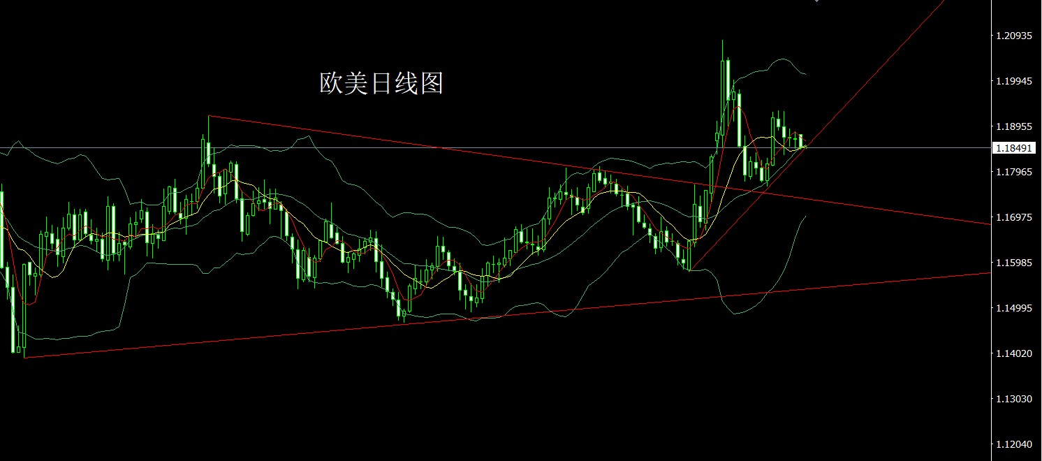 1771285219113589.jpg 欧美.jpg