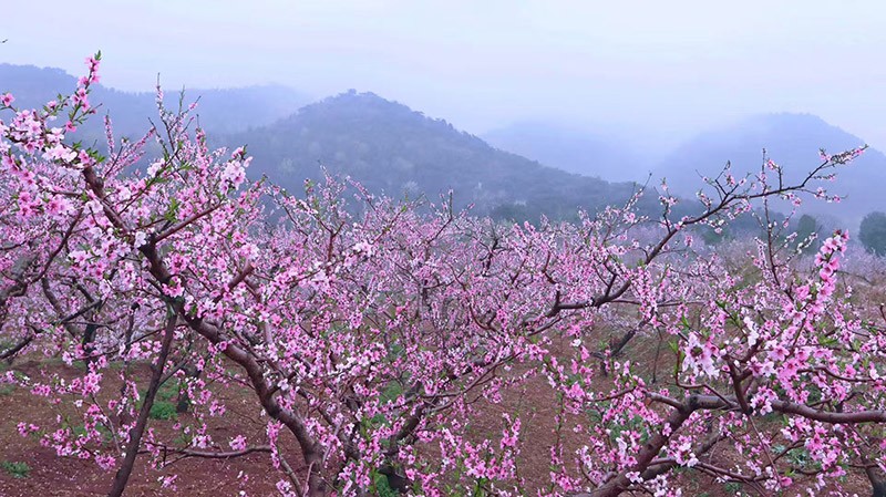 1772260916321148.jpg 图片 2.jpg