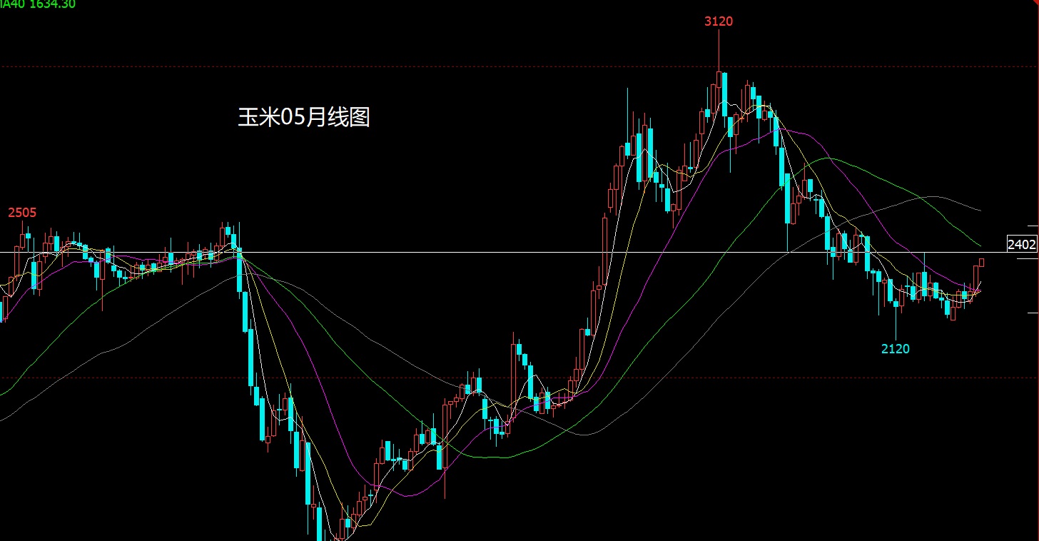 1772278775365924.jpg 玉米.jpg