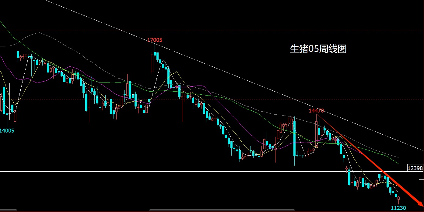 1772280825712155.jpg 生猪.jpg