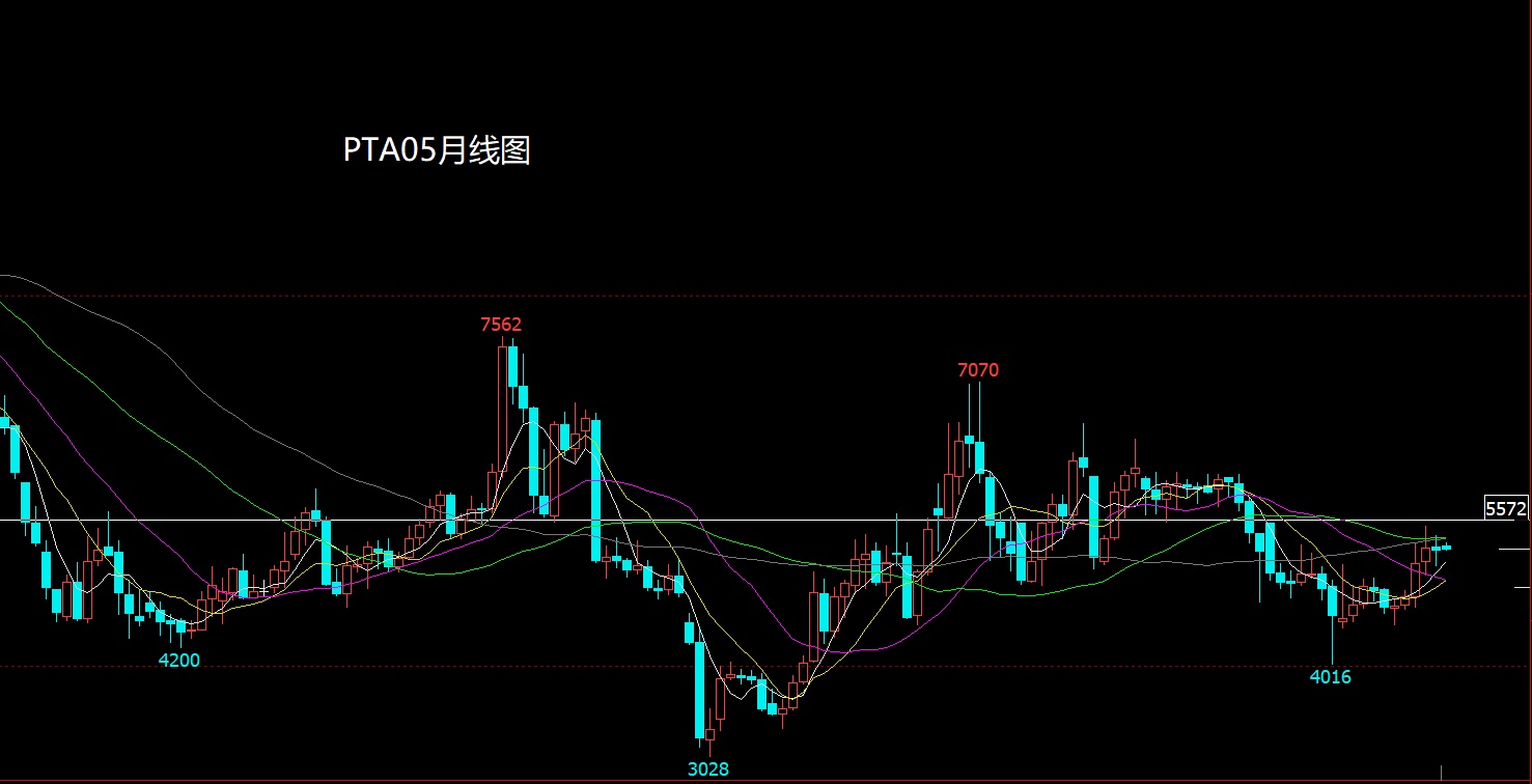 1772282561994466.jpg PTA.jpg