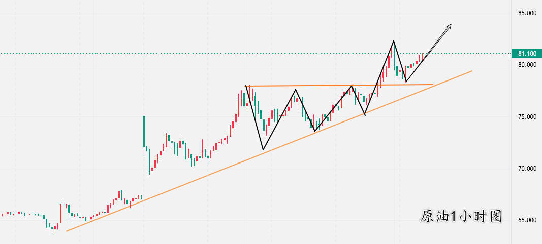 1772784319227187.jpg 7.jpg