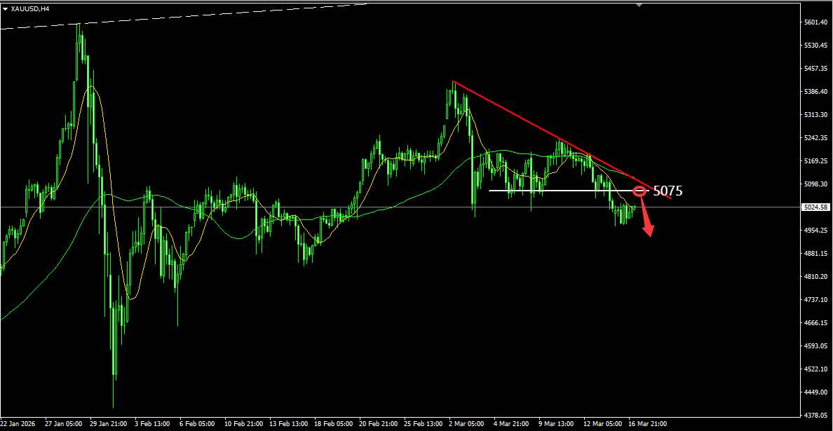 1773716059214601.png QQ20251215-101339.png