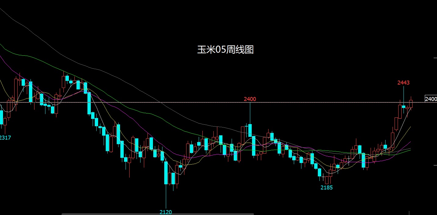 1774150205537116.jpg 玉米.jpg