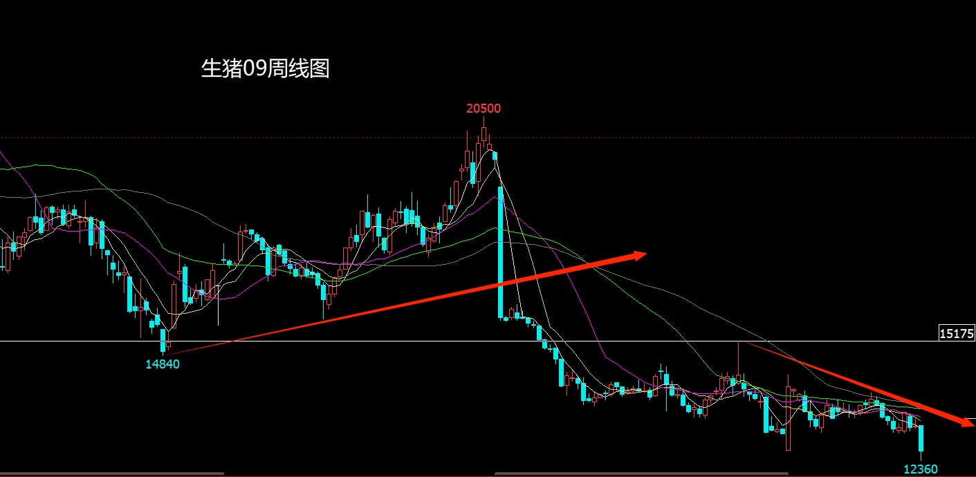 1774185391674043.jpg 生猪.jpg