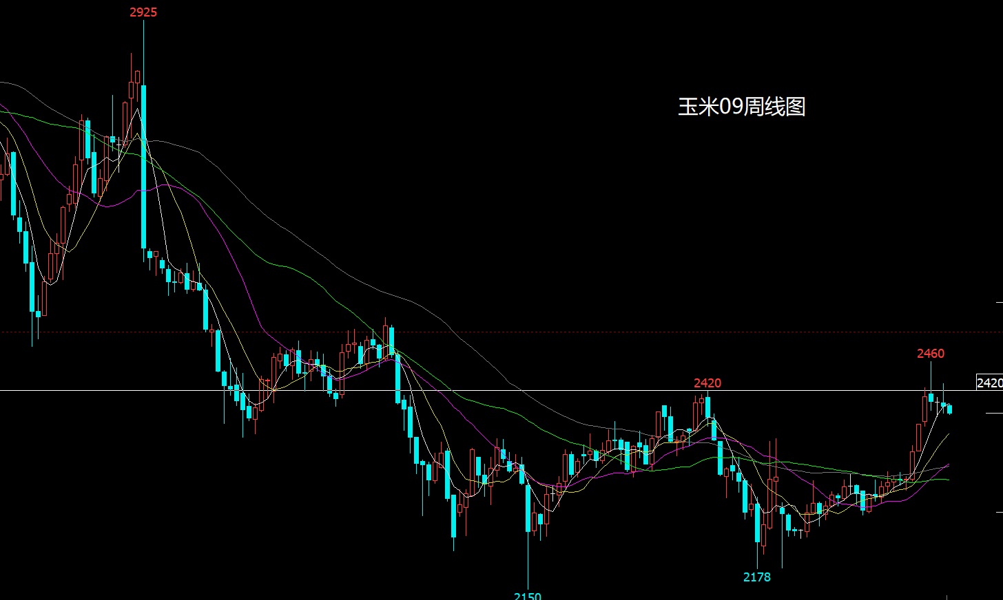 1774679646558820.jpg 玉米.jpg