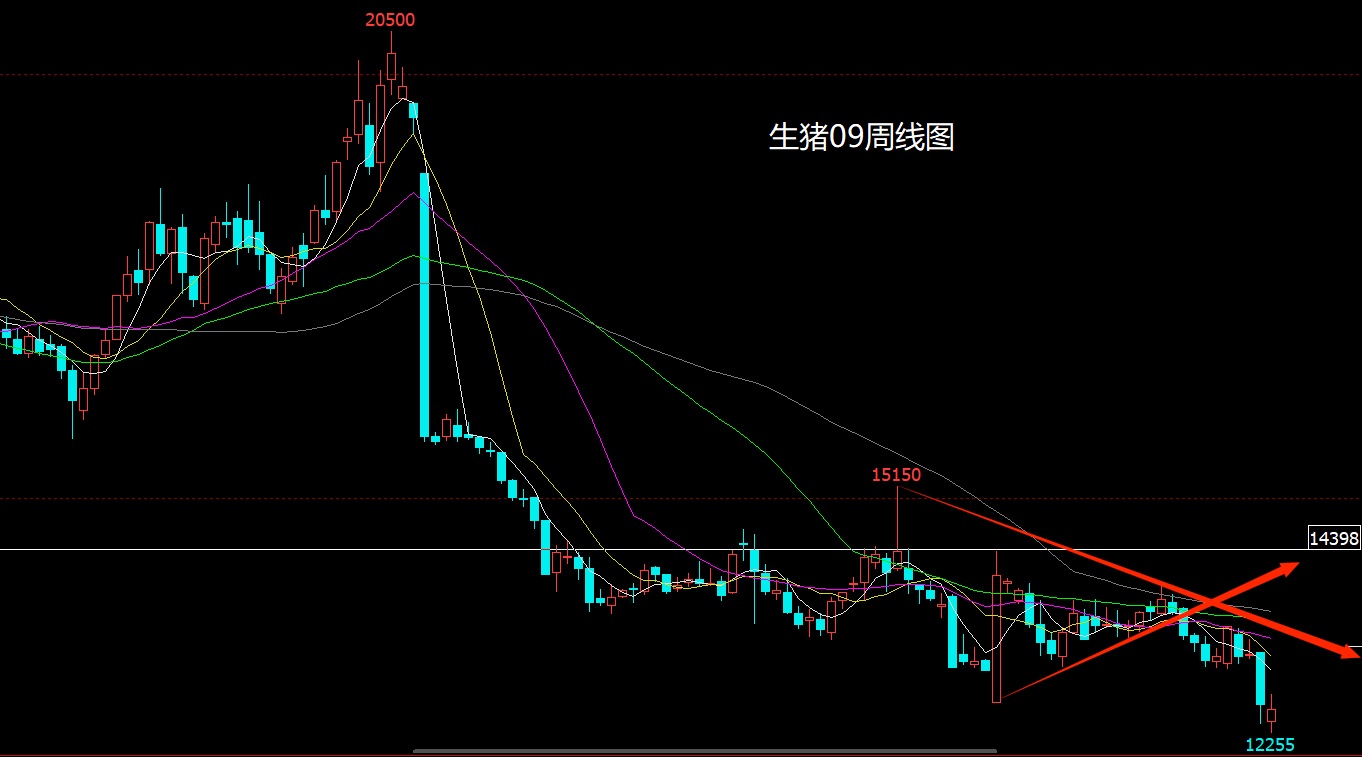 1774679908650272.jpg 生猪.jpg