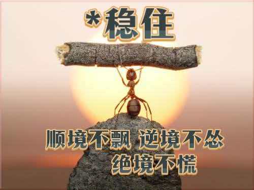 1774941763227141.jpg 微信图片_20260331103255_6419_6.jpg