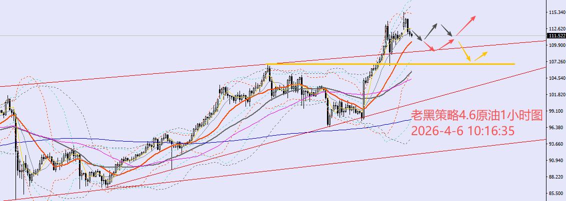 1775441903661003.png oil.png