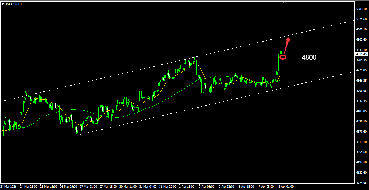 1775610868949752.png 55de3016-b821-4b34-842a-80182d690469.png