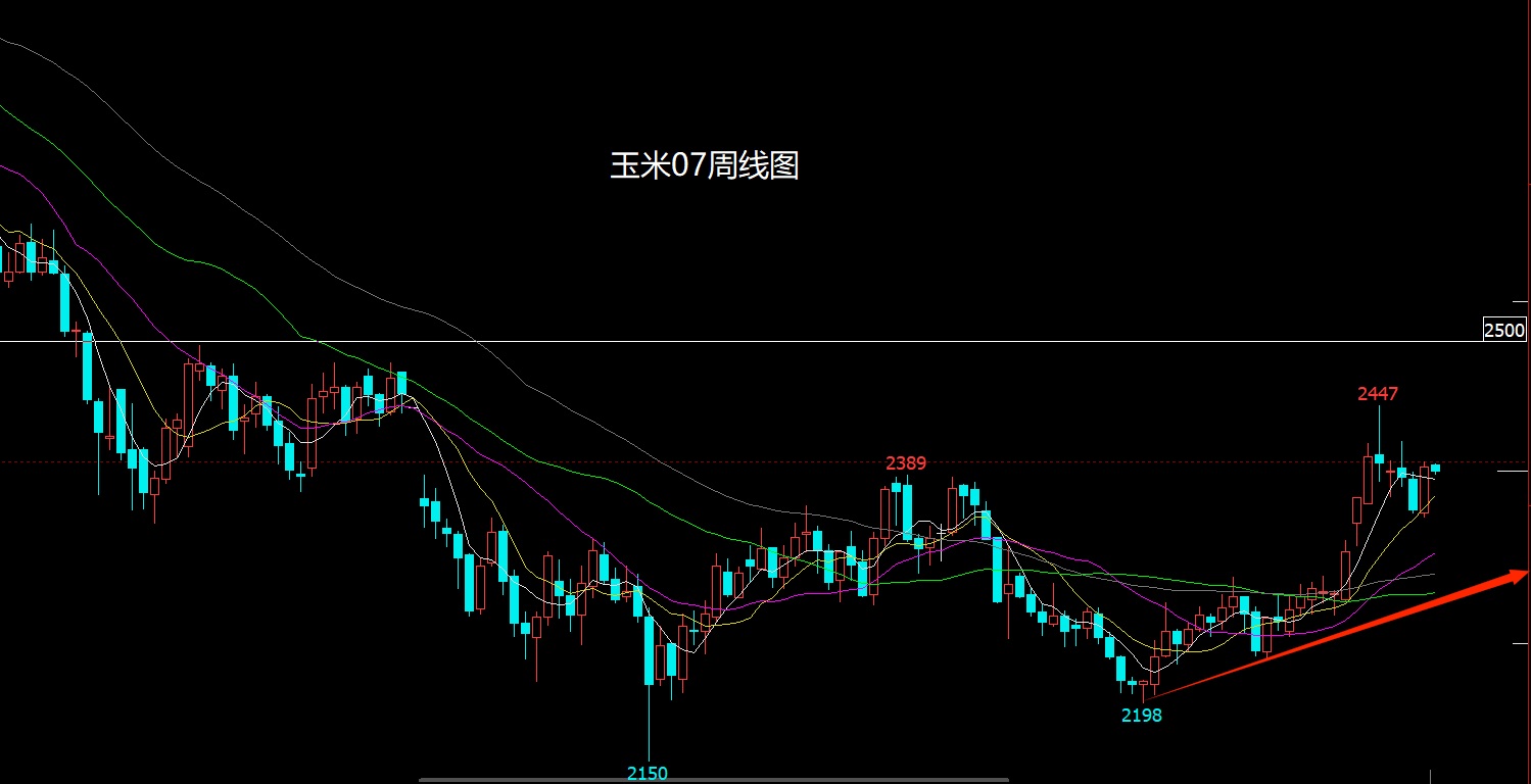 1775963658739613.jpg 玉米.jpg