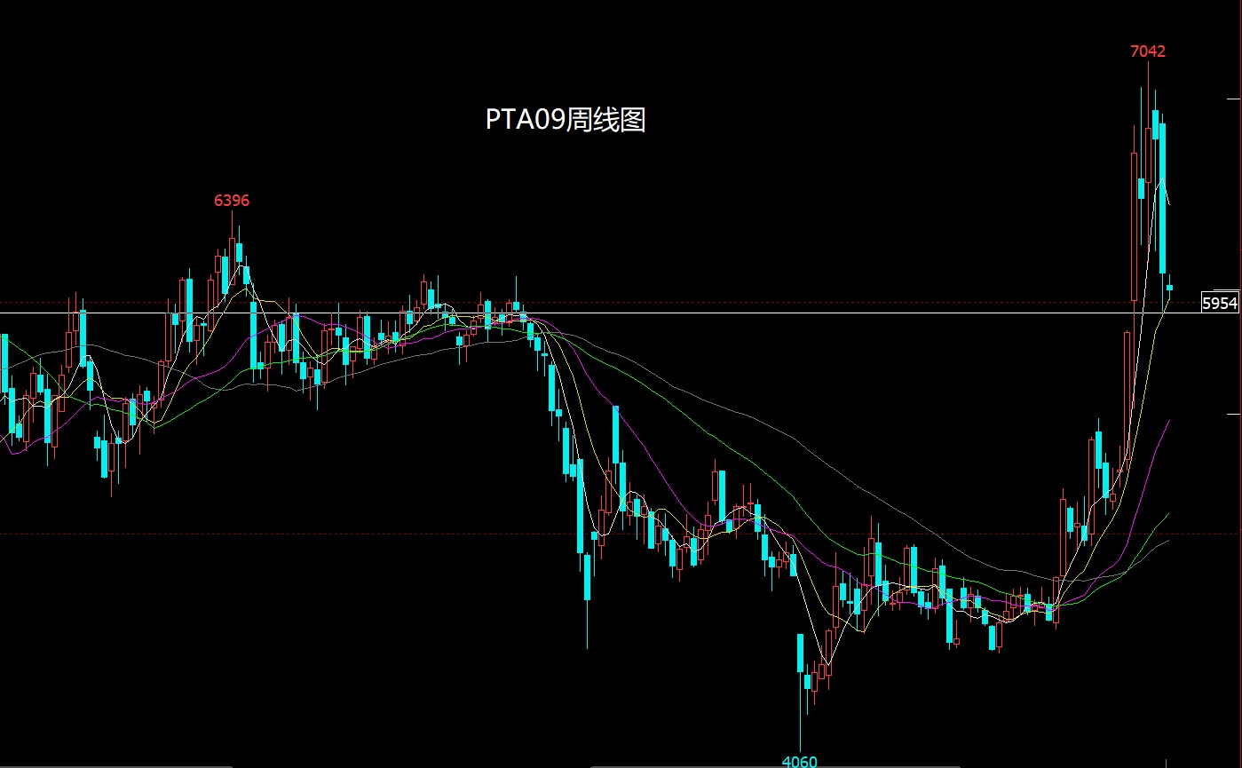 1775966366501664.jpg PTA.jpg