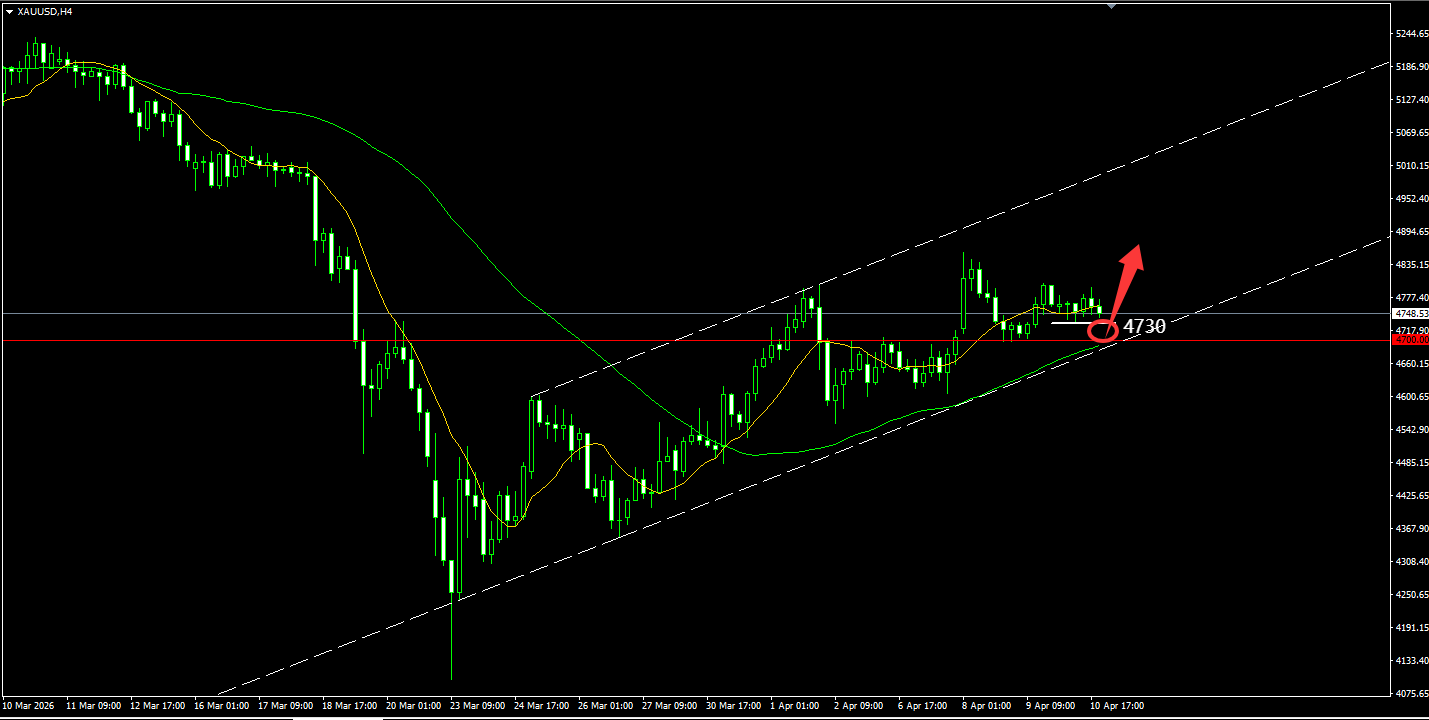 1776003695461468.png 55de3016-b821-4b34-842a-80182d690469.png