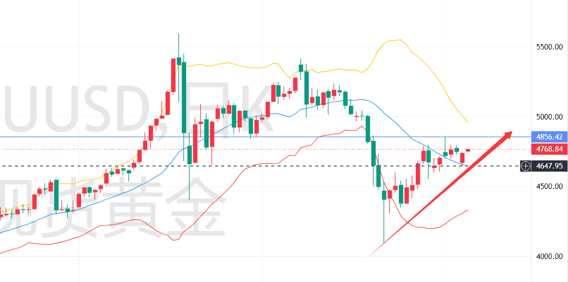 1776133227414248.png 黄金日线级别.png