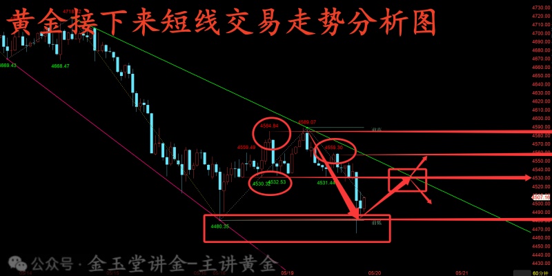 1779204908188_副本.jpg