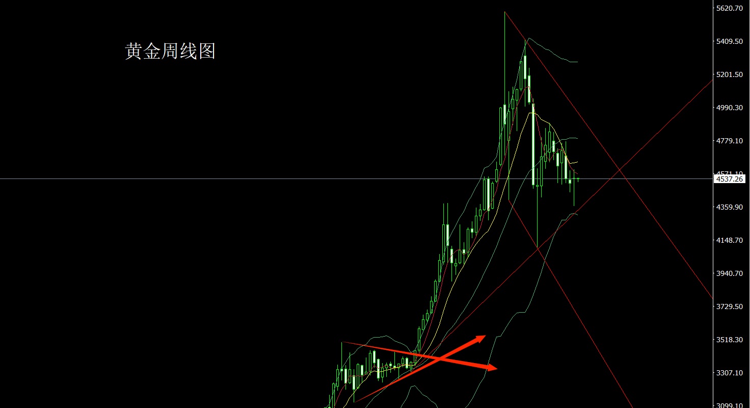 黄金周.jpg