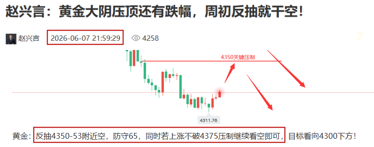 黄金预测图..png