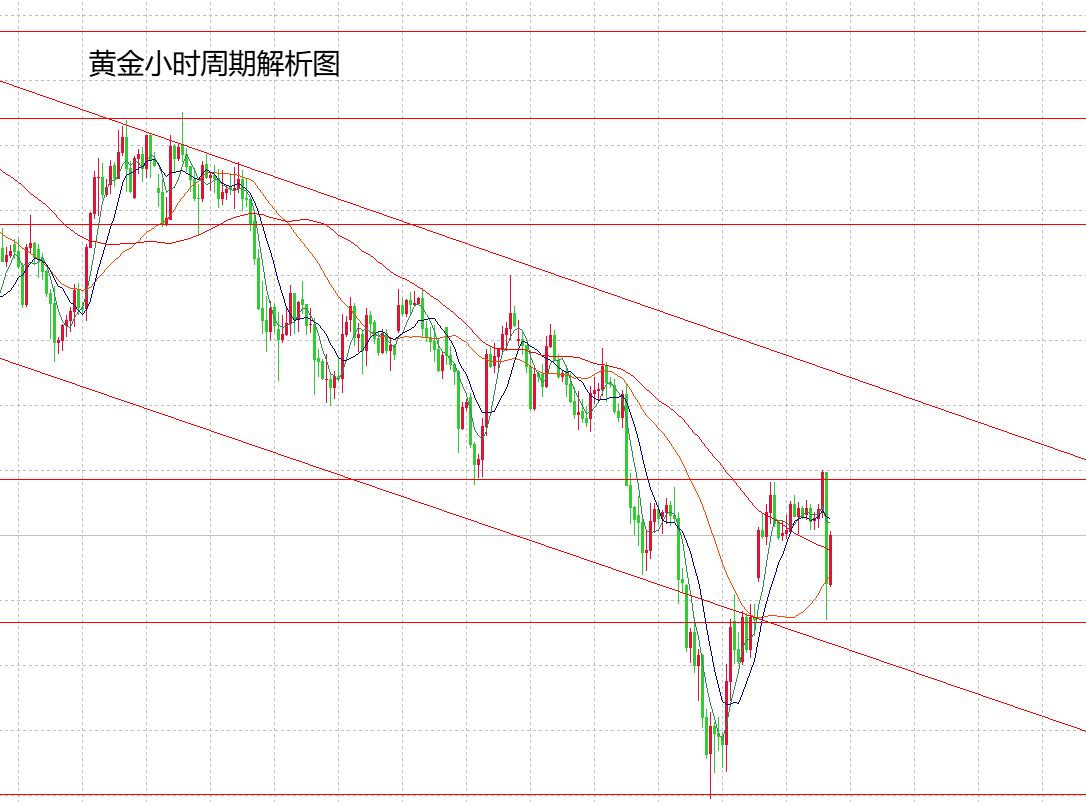 d4b223a8-94ea-4fa8-b7a3-086fa025e4dc.png