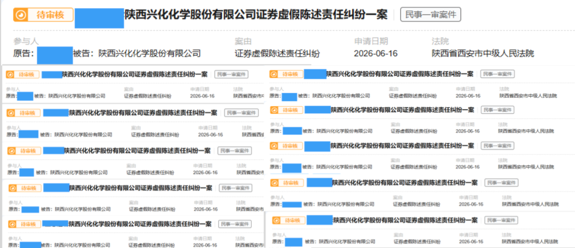兴化股份 6月16日立案 11人---副本.png