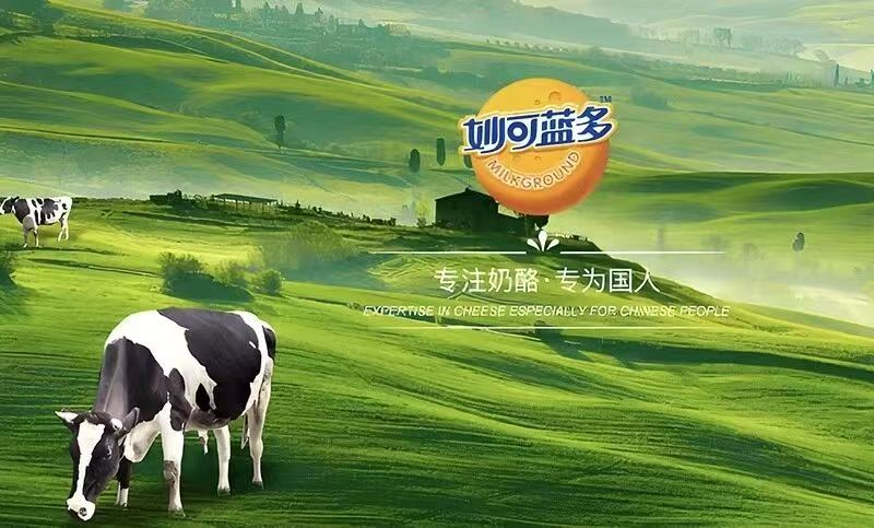 图片 7.png