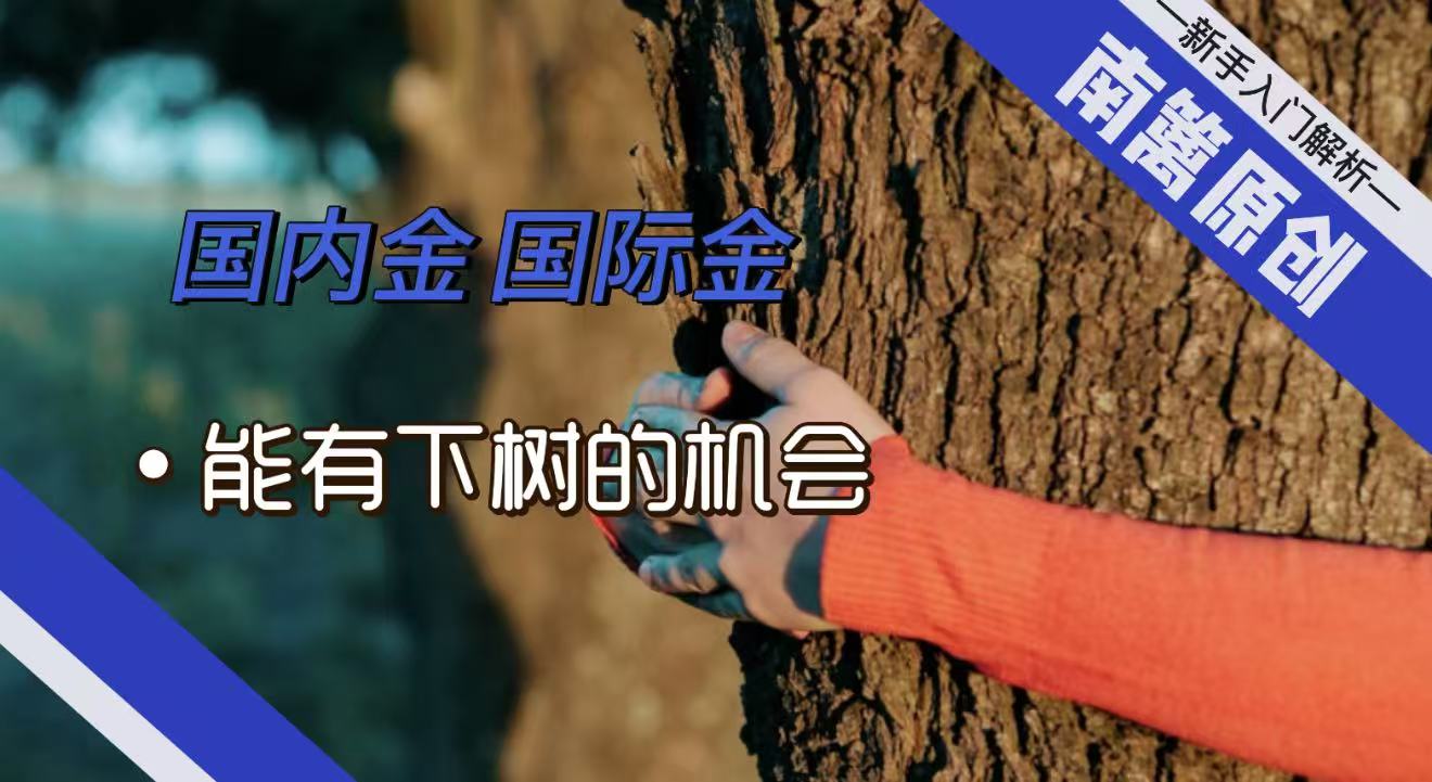 1785831406897303.jpg 2.jpg