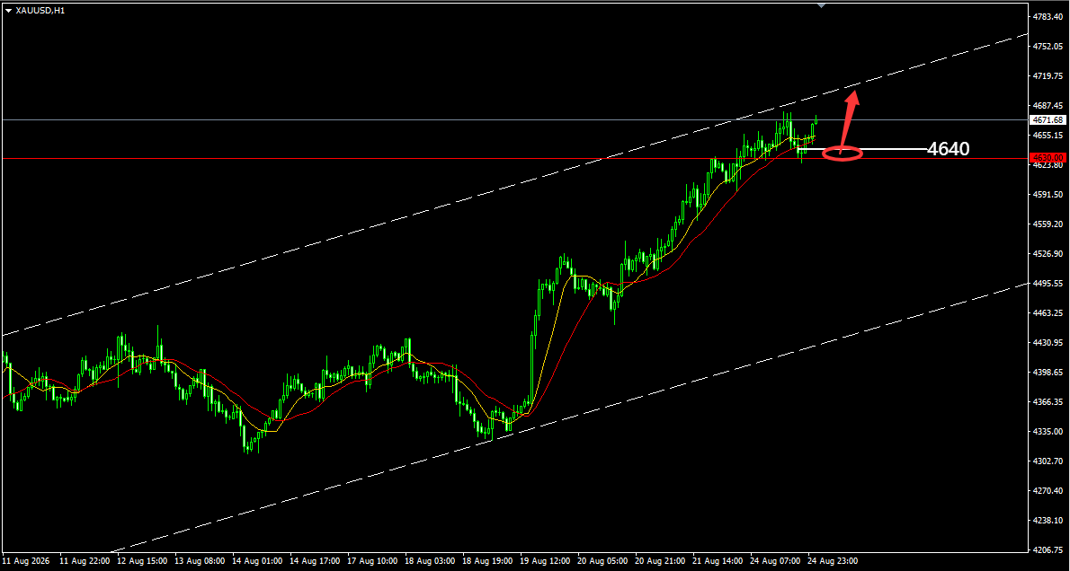 QQ20260731-215602.png