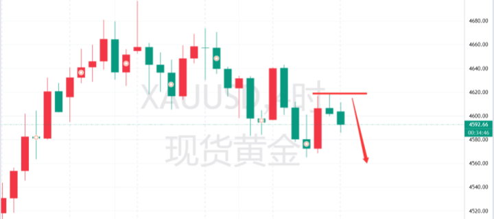 18791d98-6505-4d86-8558-babca4b31722_副本.png