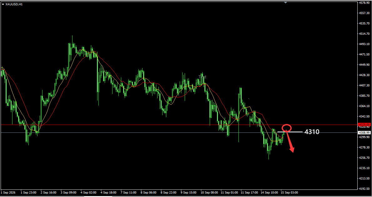 ScreenShot_2026-09-12_112451_052.png