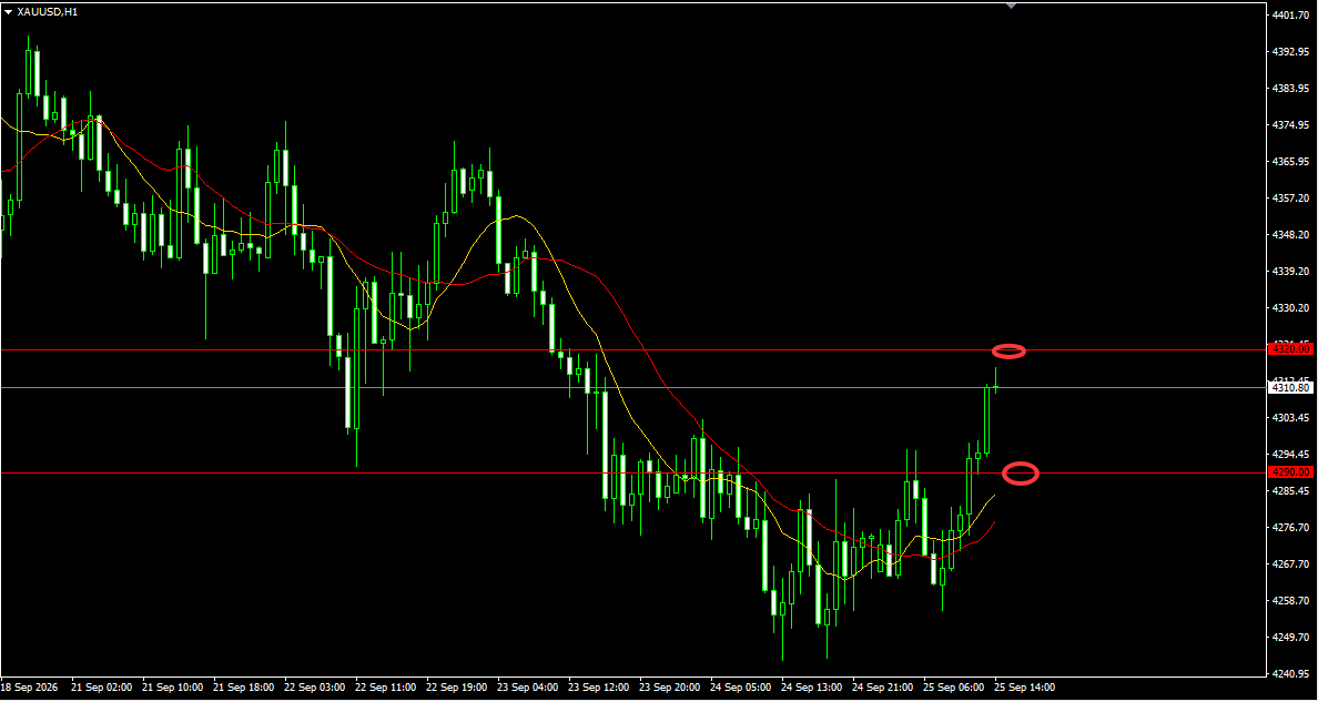 QQ20260901-204111.png