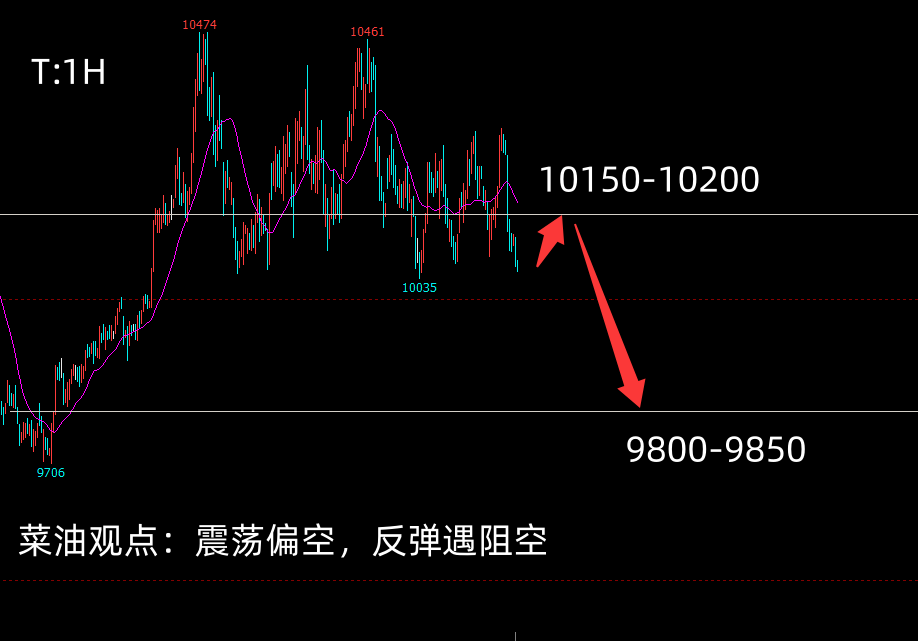 1790641253279322.png 菜油2701.png