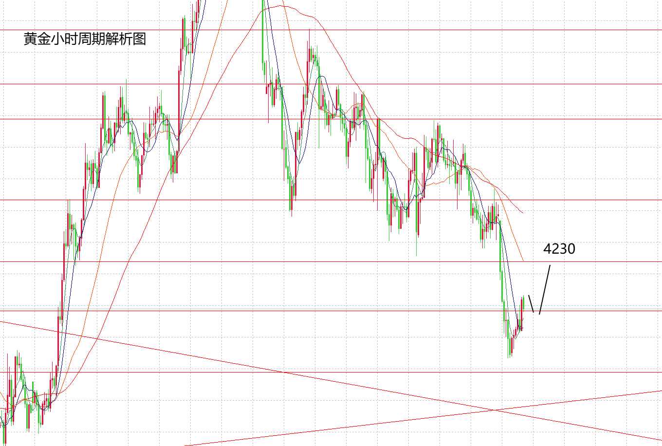 d2c986d9-431b-4a71-8d34-0a6e367b4c4e.png