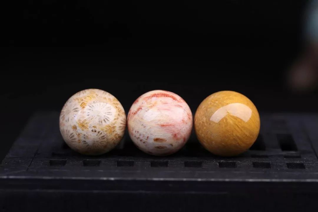 海边捡来的这种玉,真的有生命!来自亿万年前的"鲜花盛开"!