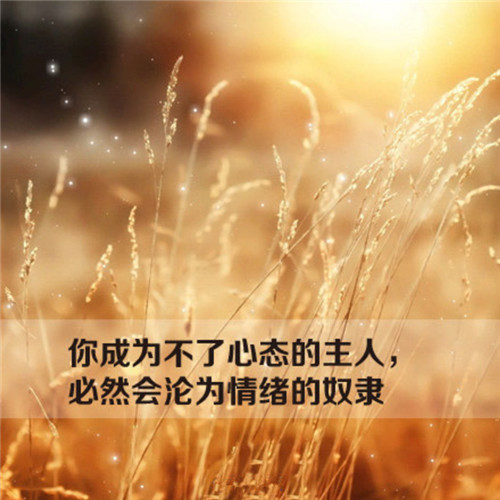 投资心态是很重要的,凌菲都不可能说自己的心态能一直非常好,所以这就