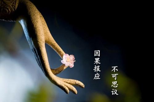 沈万源比特币凌晨拉升究竟是牛市的开端还是深渊的前兆