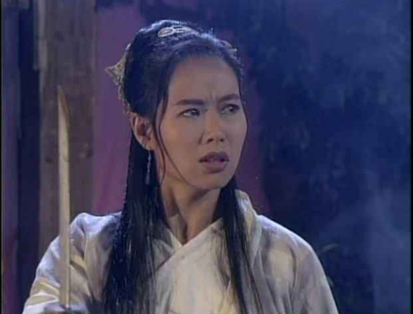 中楚汉秀叶童成也萧何败也萧何