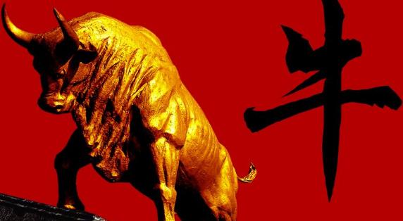 知名网红高喊a股2020年超级牛你怎么看