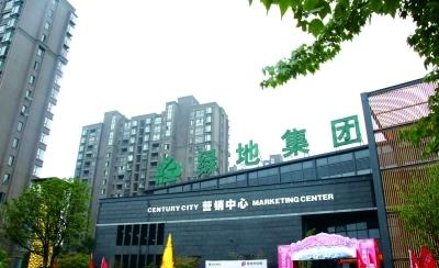 业绩掉队绿巨人跌倒资产负债率高企现金流大幅下降