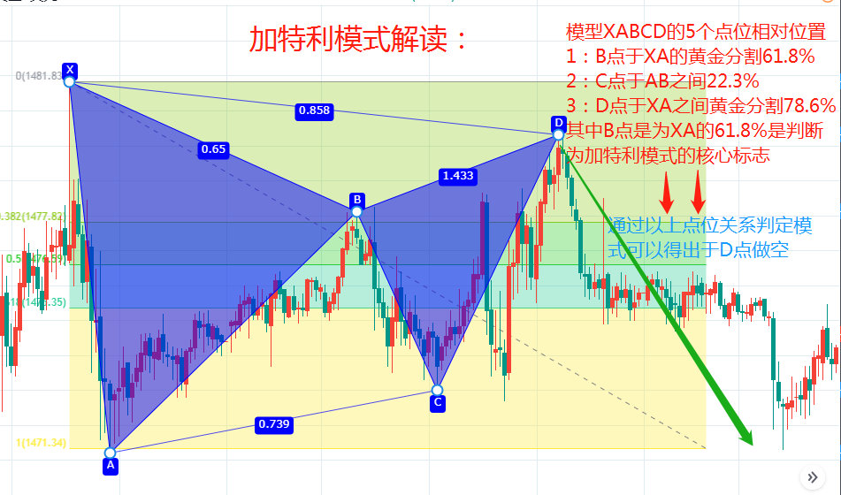 加特利谐波形态图片