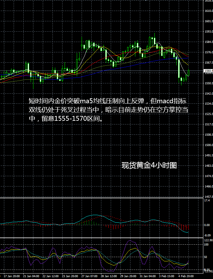 现货黄金走势看法参考建议20200205晚评