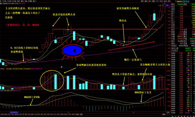 牛市擒牛经典形态老鸭头