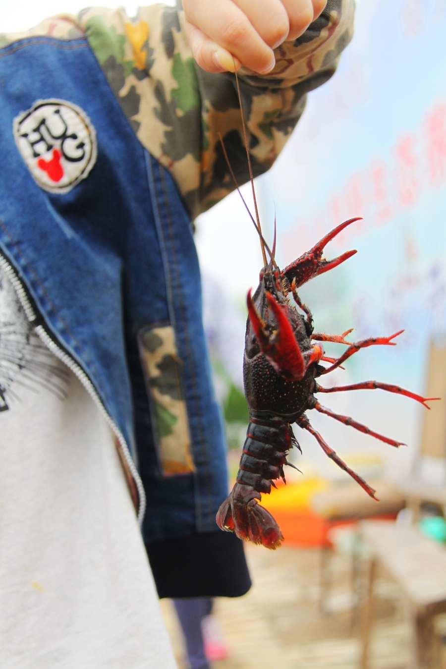 精彩一夏龙虾垂钓大赛