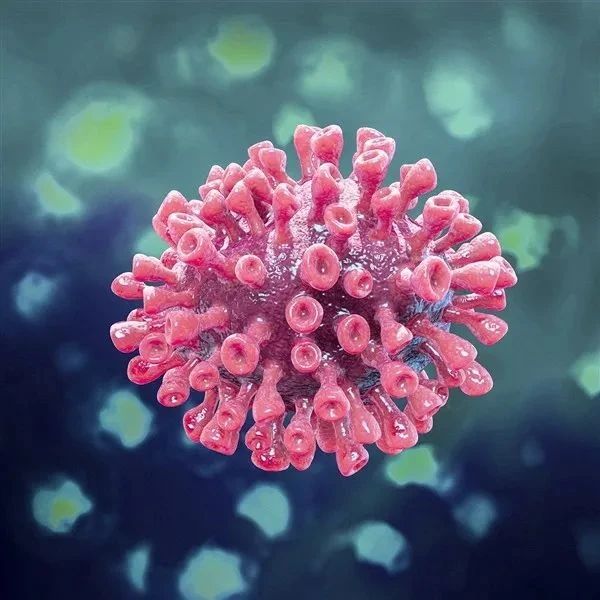 结论是:中国团队研究的全球首个重组腺病毒5型载体新冠疫苗通过安全性