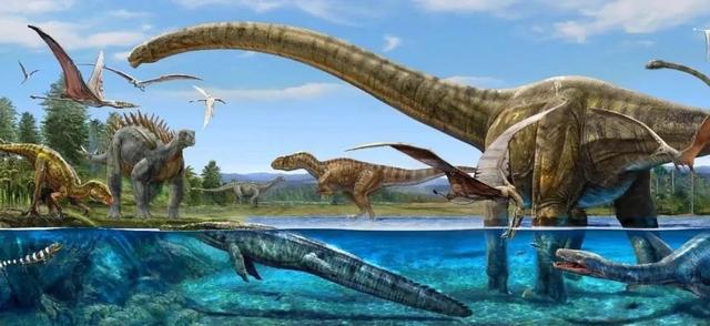 悟性高的人,光是对宇宙大爆炸和寒武纪生命大爆炸进行深入思考,无神论