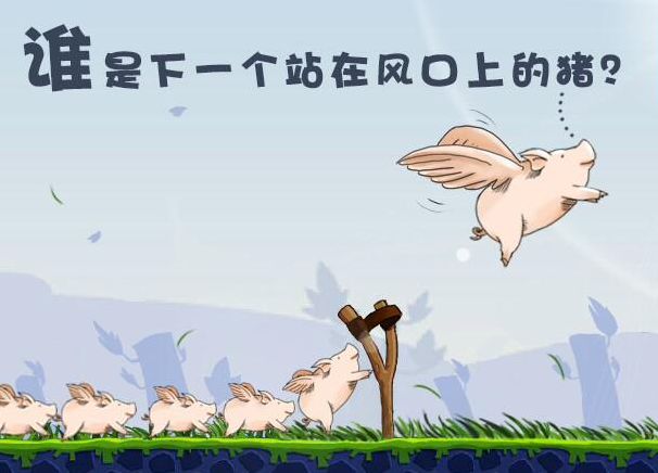 俗话说的好,站在风口上,猪都能飞,那么我们怎么去在诸多币种中去找到