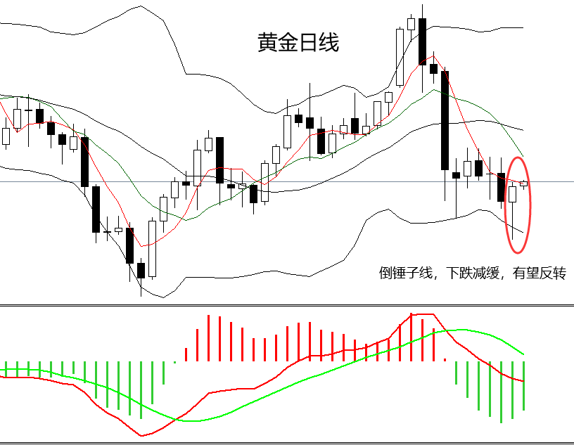 特朗普黄金液体图片